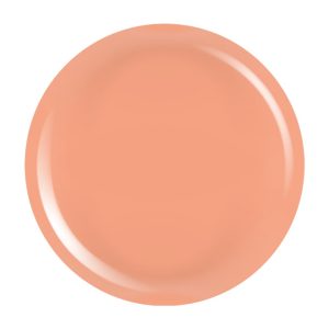 Gel Colorat UV PigmentPro LUXORISE - Faded Rust