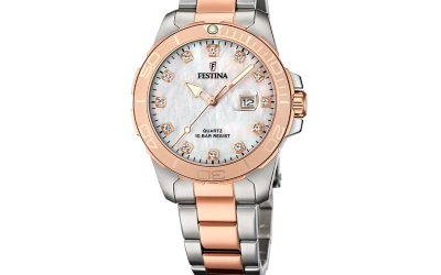 Ceas Festina F20505/1 – Eleganță și Funcționalitate