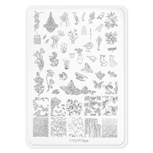 Matrita stampila Cupio R06