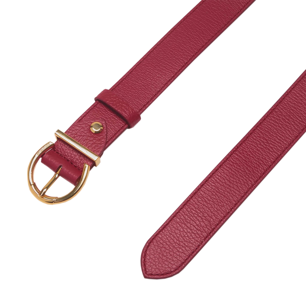 Coccinelle