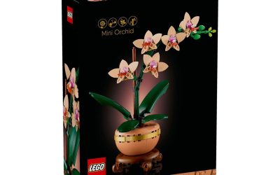 Mini Orchid 10343 LEGO – Jucării Rafinament Natural