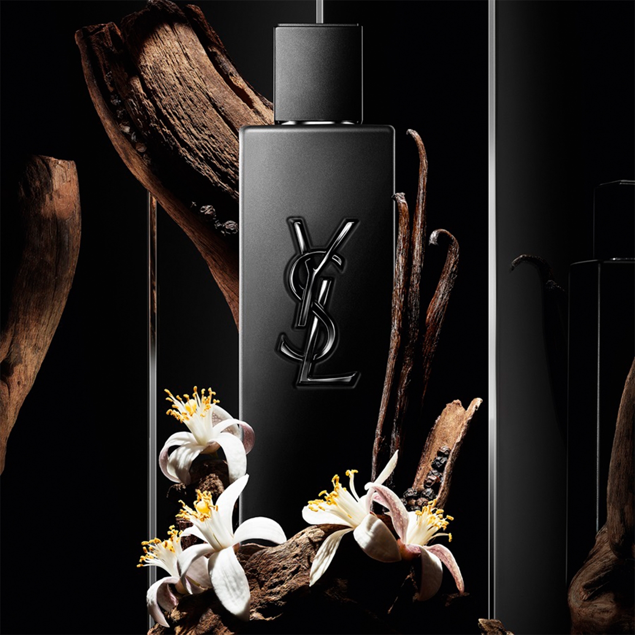 Yves Saint Laurent